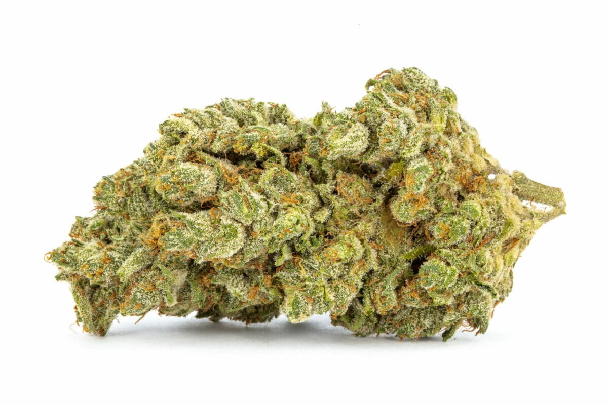 Sour-tangie-strain