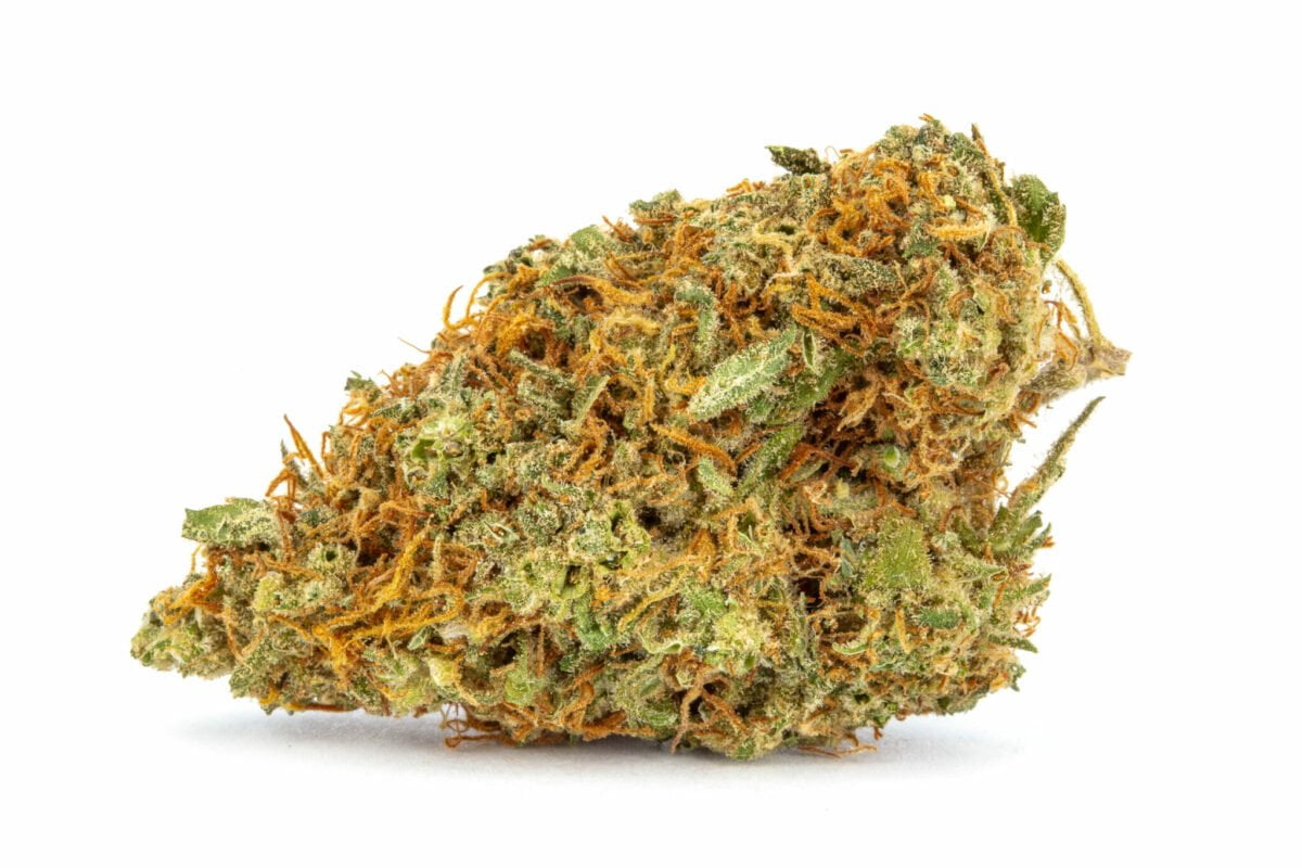 Mango Tango Strain