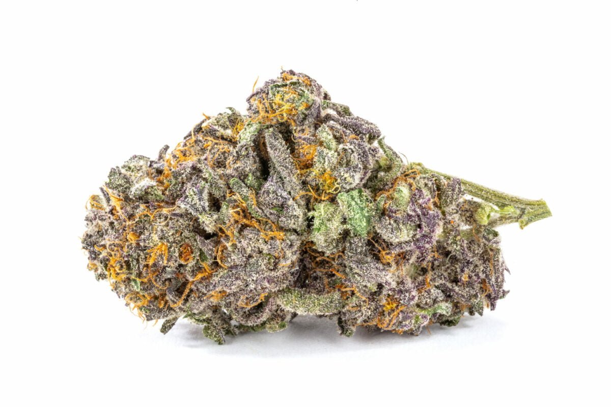 Purple God Strain