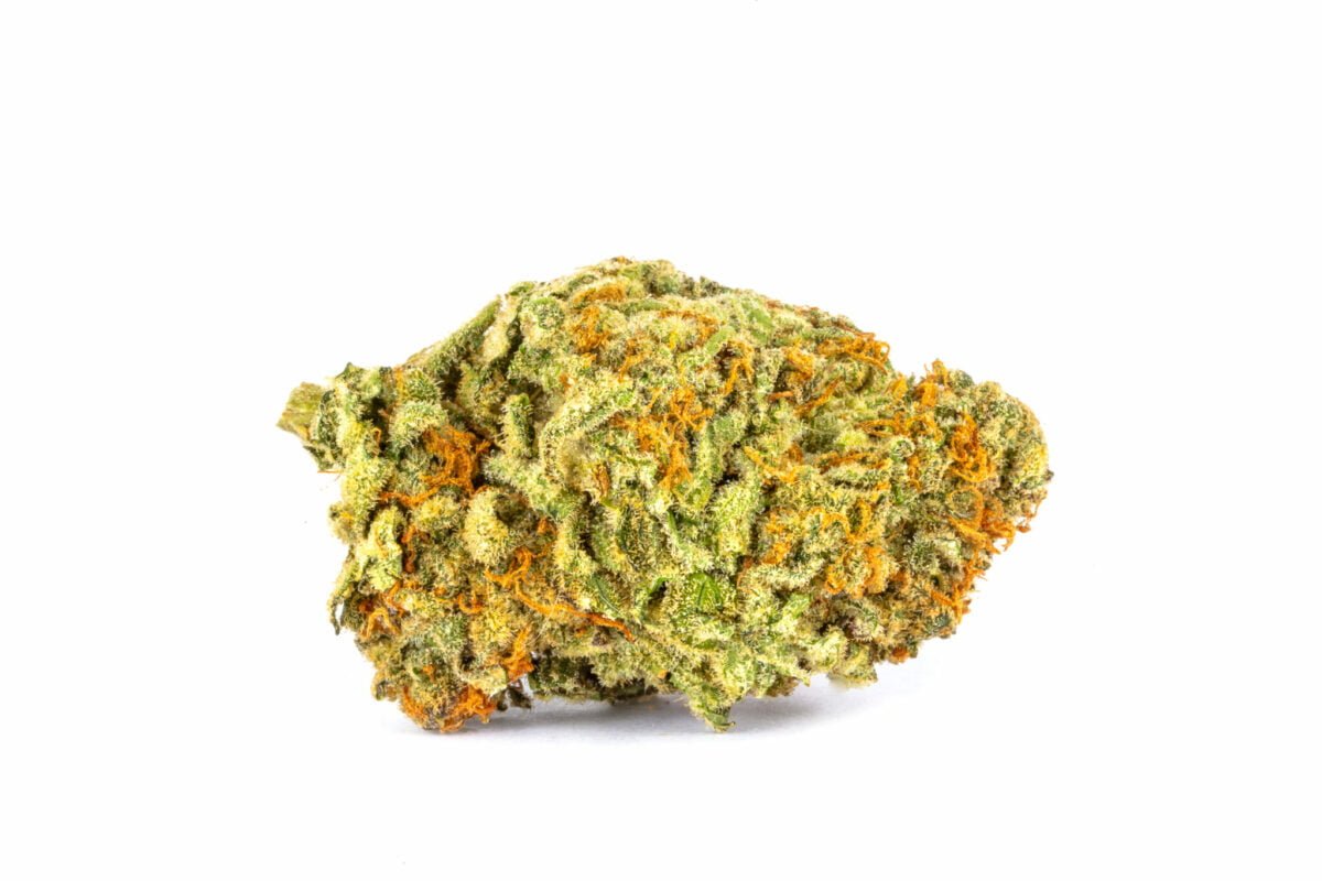 Jillybean strain