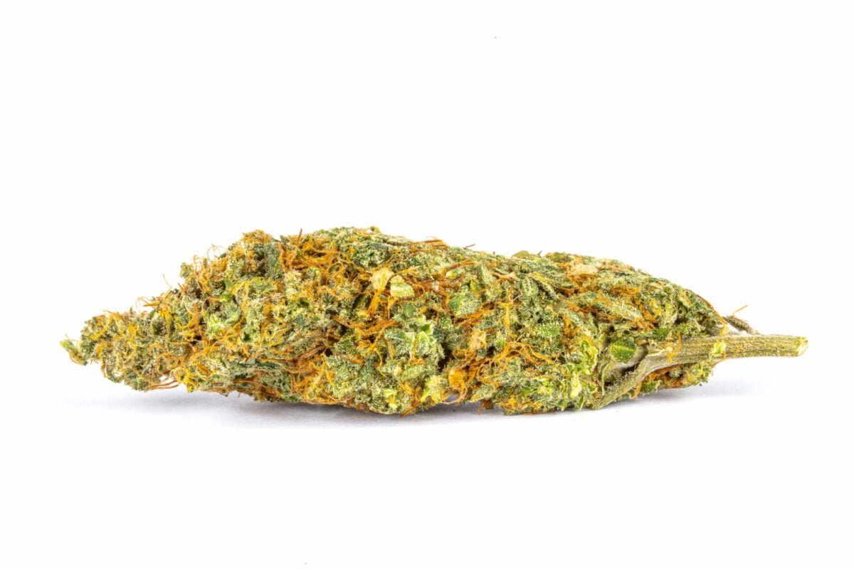 Digweed strain