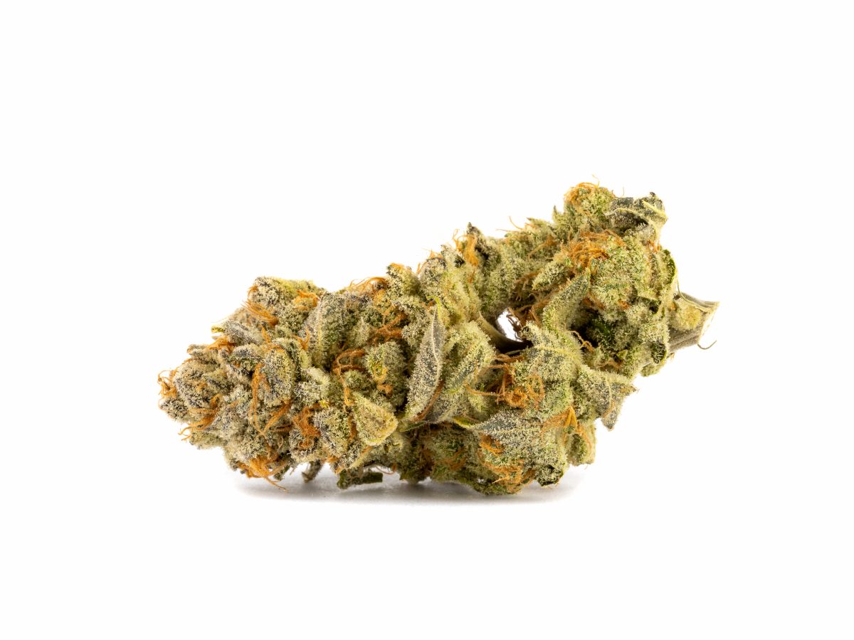 ROYAL MADRE Strain