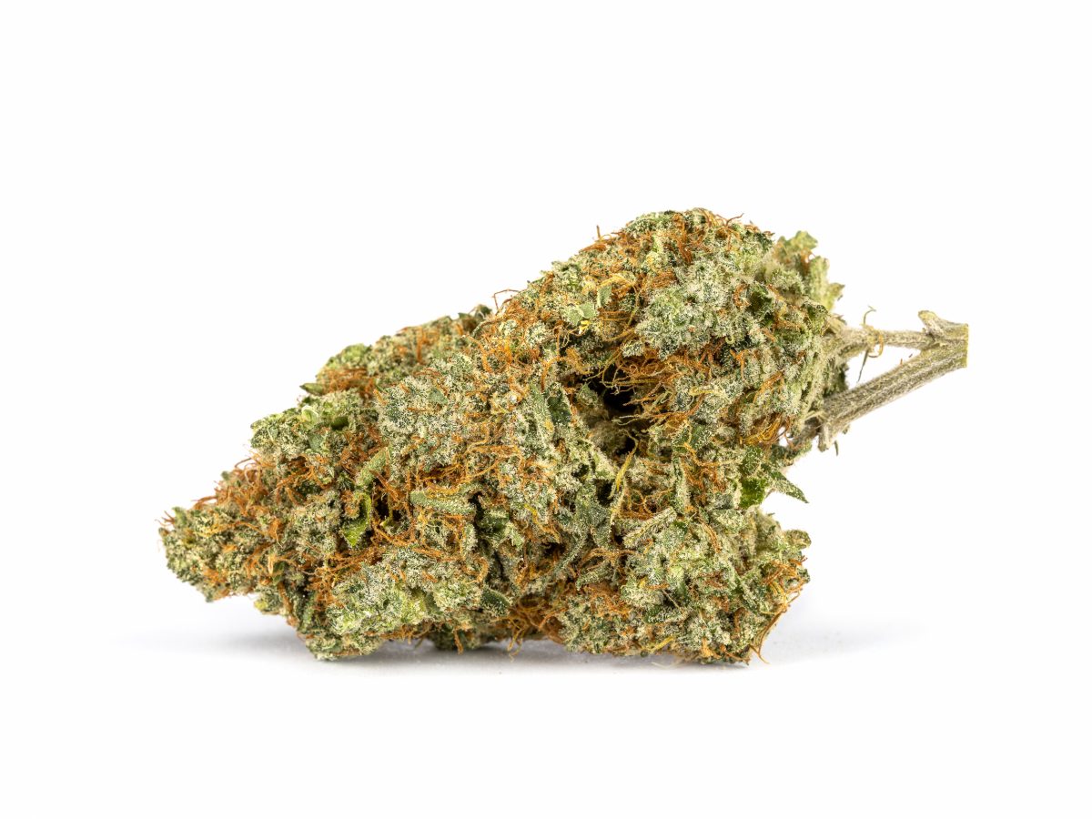 Blackfire Strain