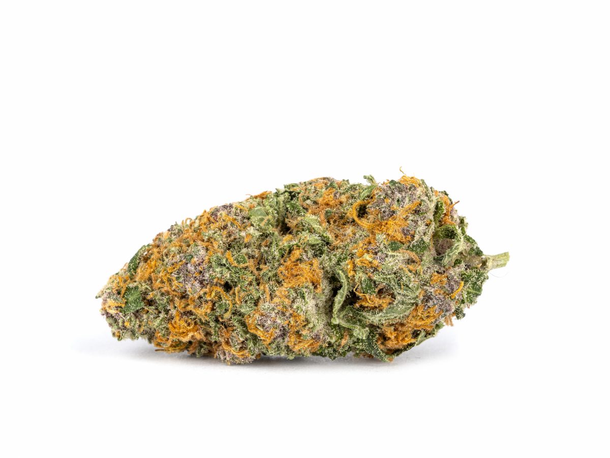 Purple Berry Strain