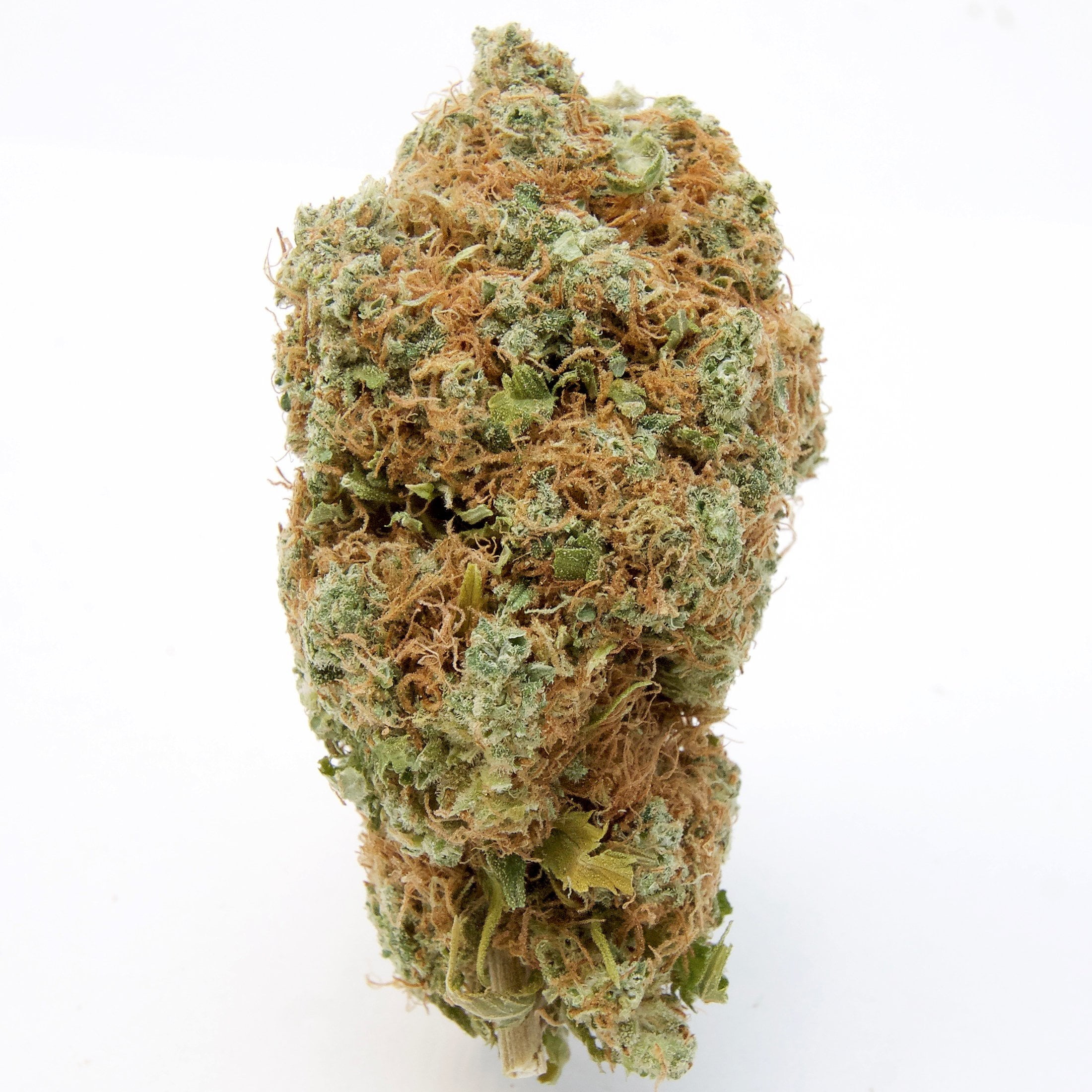 Vanilla Kush