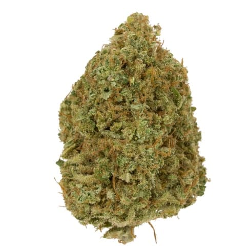 Critical Mass