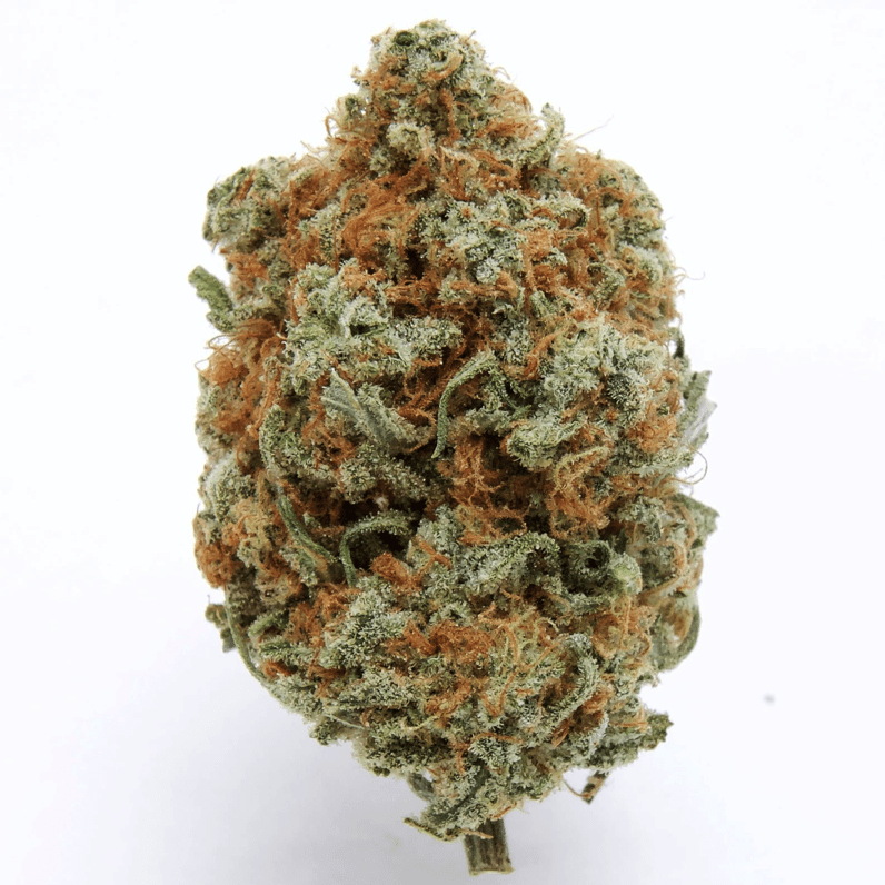Gorilla Bomb