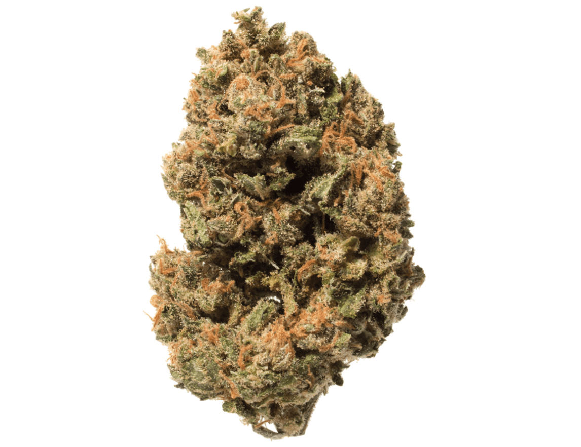 King Congo Strain