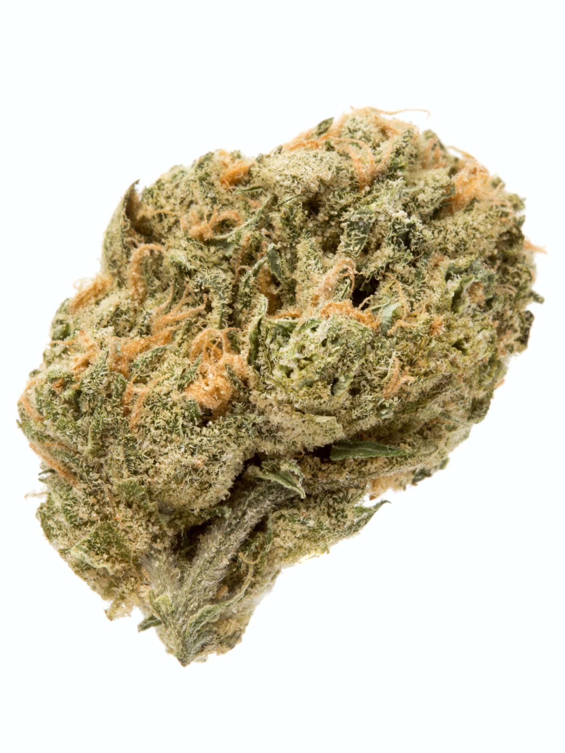 Sensi Star strain
