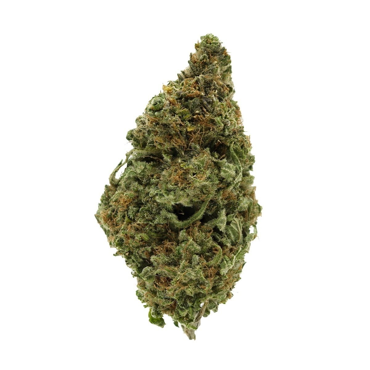 Blueberry Muffin Strain New
