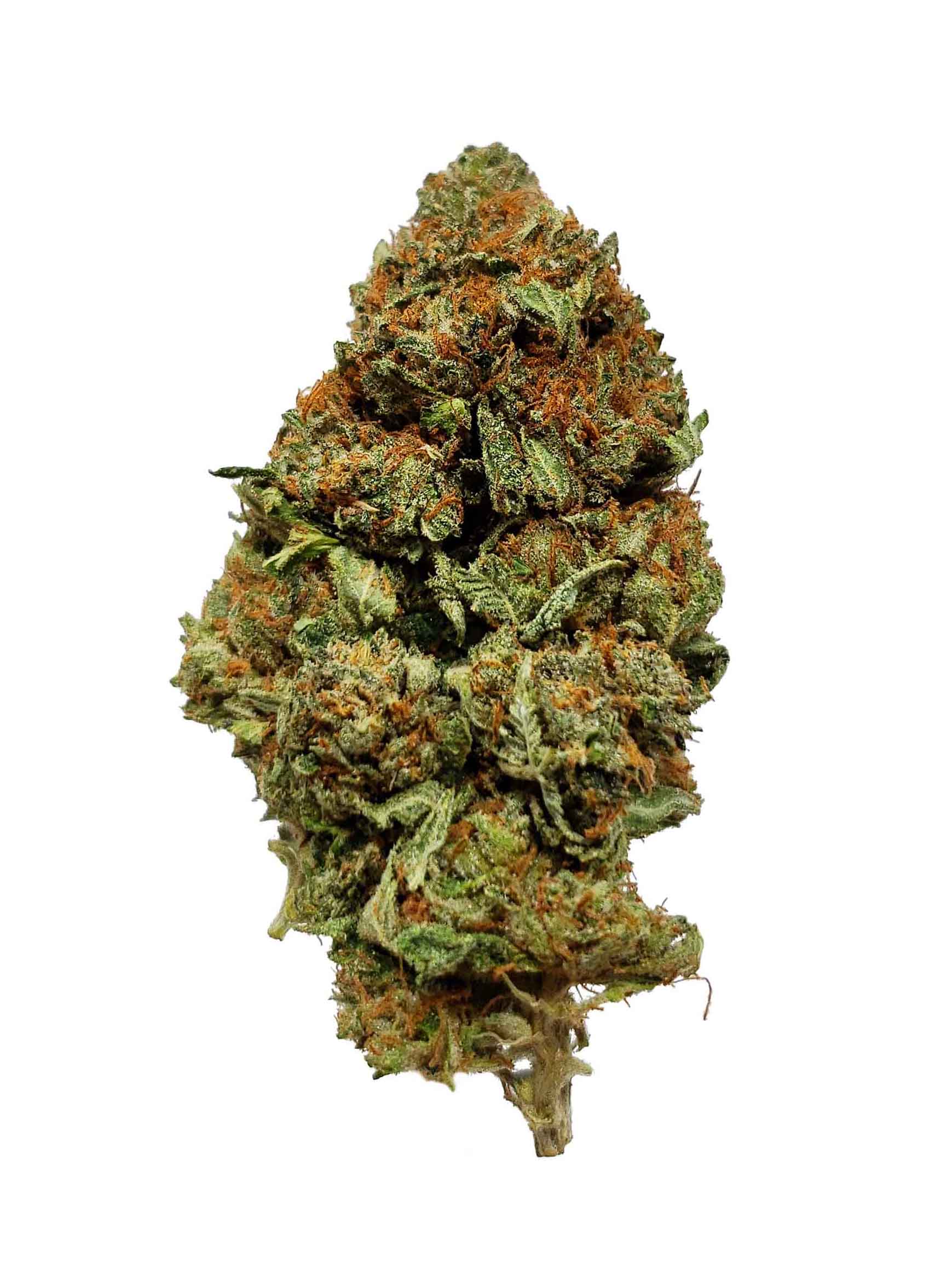 AA Death Bubba