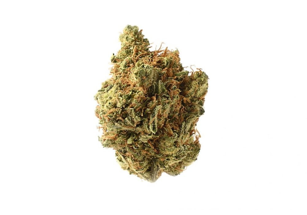 Amnesia Haze strain