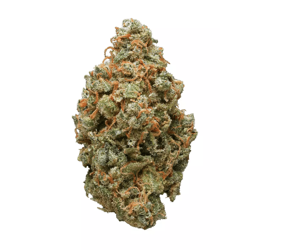 Og Shark