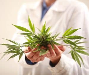 Cannabis for Sleep, Cannabis, Sleep Disorders, Cannabis and Sleep Disorders, Cannabinoids