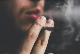 Celebrates Smoking Joint, Celebrates Smoking Weed, Celebrates Smoking Cannabis, Celebrates Smoking Marijuana, Marijuana, Cannabis, Weed,