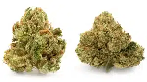 OG Kush, OG Kush Cannabis Strain, Cannabis Strain, Cannabis Strain, Marijuana, Weed